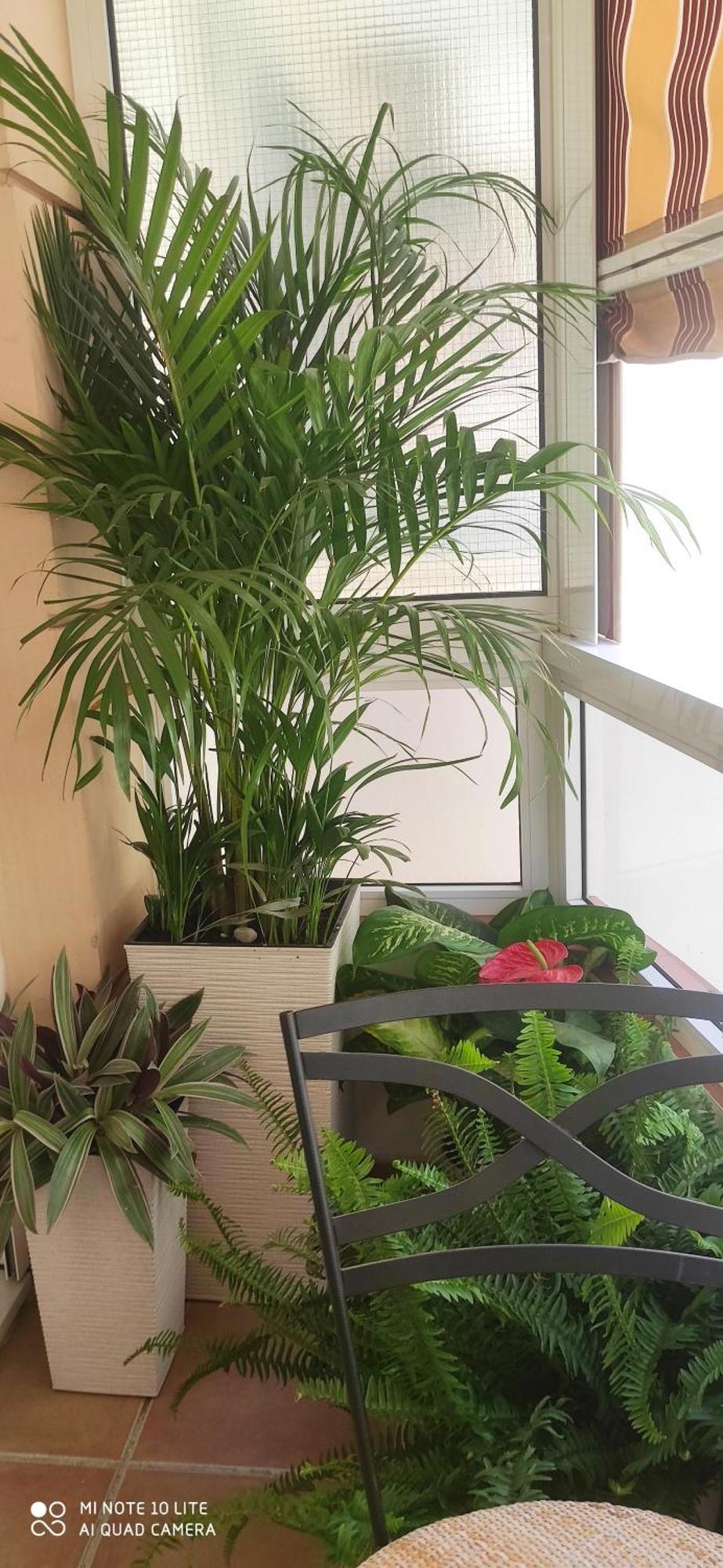 Duplex Fuengirola Centro 3 Dormitorios Zewnętrze zdjęcie